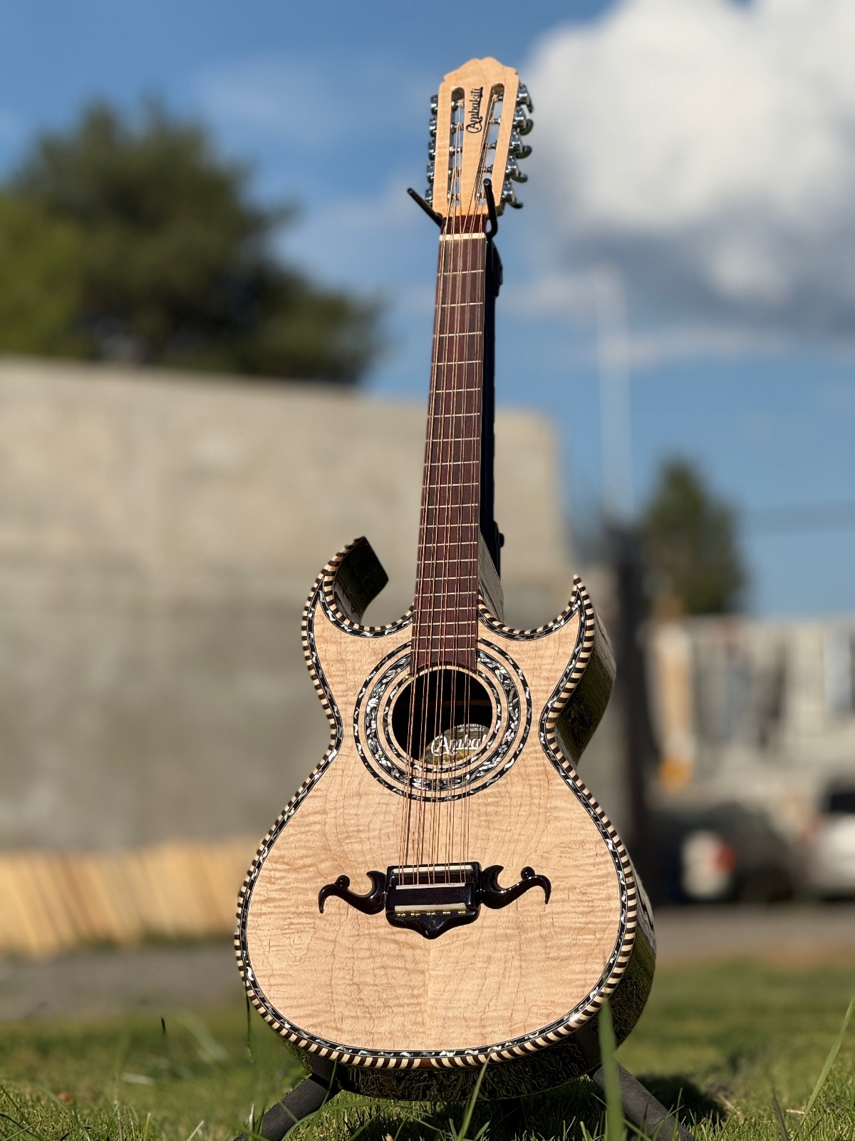 Bajoquinto de maple rizado y palo de rosa